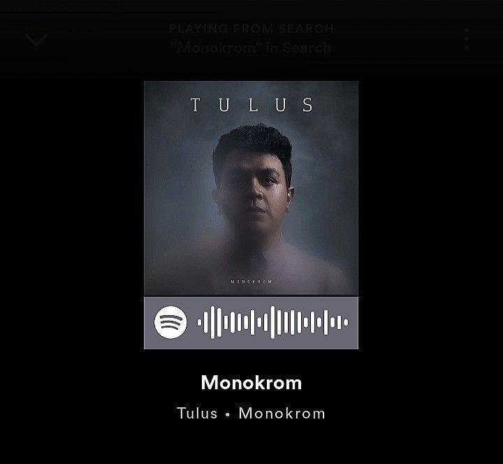 Album "Monokrom" Tulus: Menyelami Kedalaman Emosi dalam Warna Hitam Putih